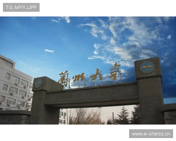 重磅汇总排球最新转会动态多位球星加盟新东家引发热议