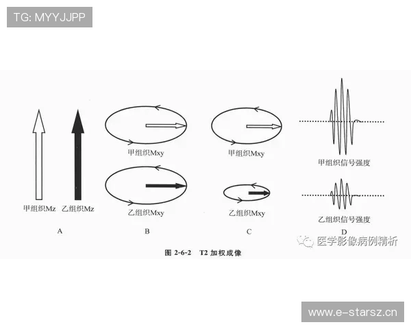 深入解读射箭技巧与心法全面解析精准命中背后的科学原理