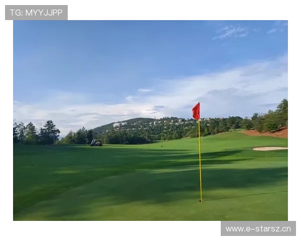 从零开始的高尔夫入门指南基础技巧装备礼仪全解析心得练习场上实用攻略